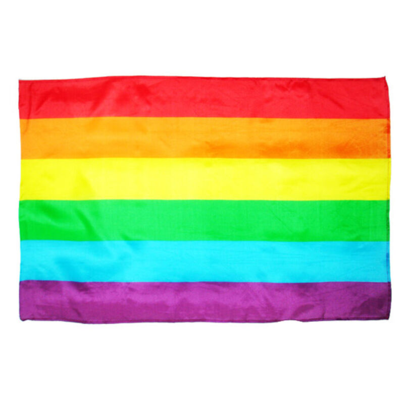 FIERTÉ - DRAPEAU MOYEN LGBT
