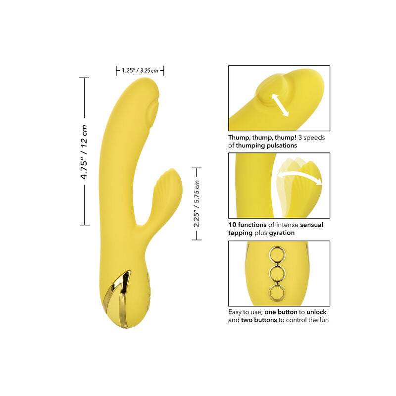 CALEXOTICS - SAN DIEGO VERLEIDING