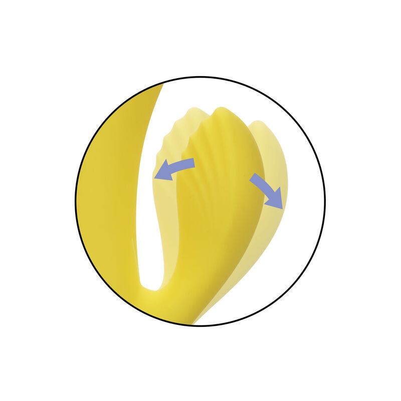 CALEXOTICS - SAN DIEGO VERLEIDING