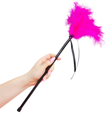 SECRETPLAY - PLUMES ROSES 40 CM