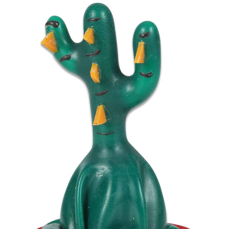 CONDOMERIE - HANDGESCHILDERDE, ORIGINELE CONDOMS MET CACTUS-LIJM