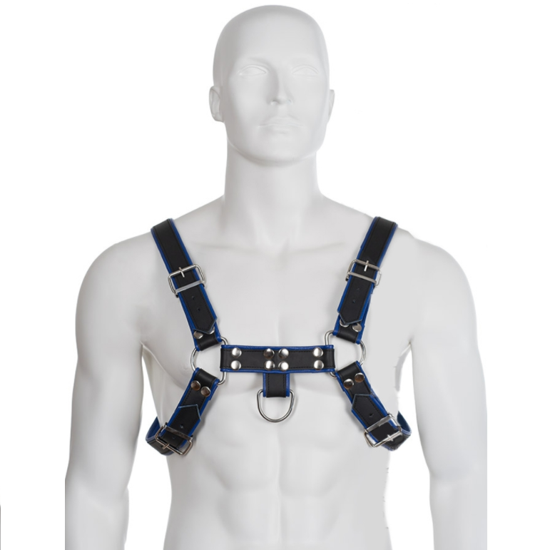 CORPS EN CUIR - HARNAIS EN CUIR BLEU ET NOIR POITRINE DE BOULEDOGUE